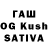 Псилоцибиновые грибы Cubensis Flow Swift