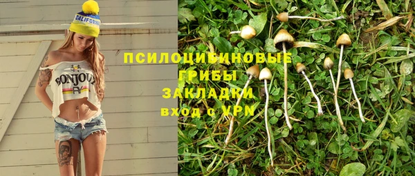 гашик Армянск