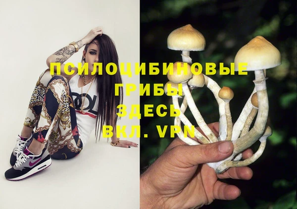 гашик Армянск