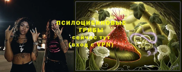 Альфа ПВП Арсеньев